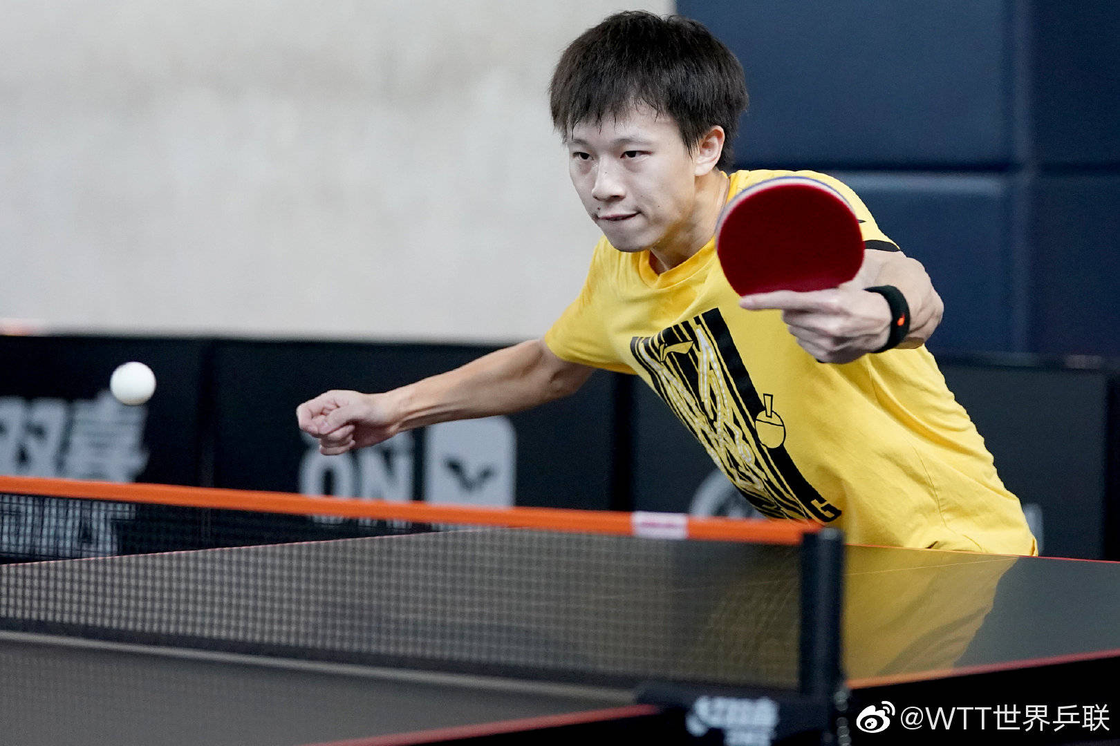 法国队险胜葡萄牙队,林高远刷新纪录的简单介绍 法国队险胜葡萄牙队,林高远刷新纪录的简单介绍