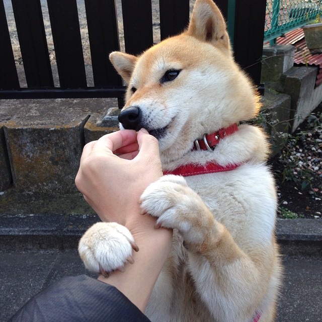 开云sport-跨国对决惊魂十秒，浓眉一记绝杀，让深圳体育馆陷入死寂