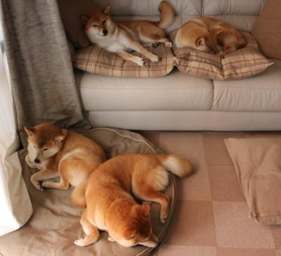 唯一性交锋,浓眉的节奏魔术让吉林队迷失