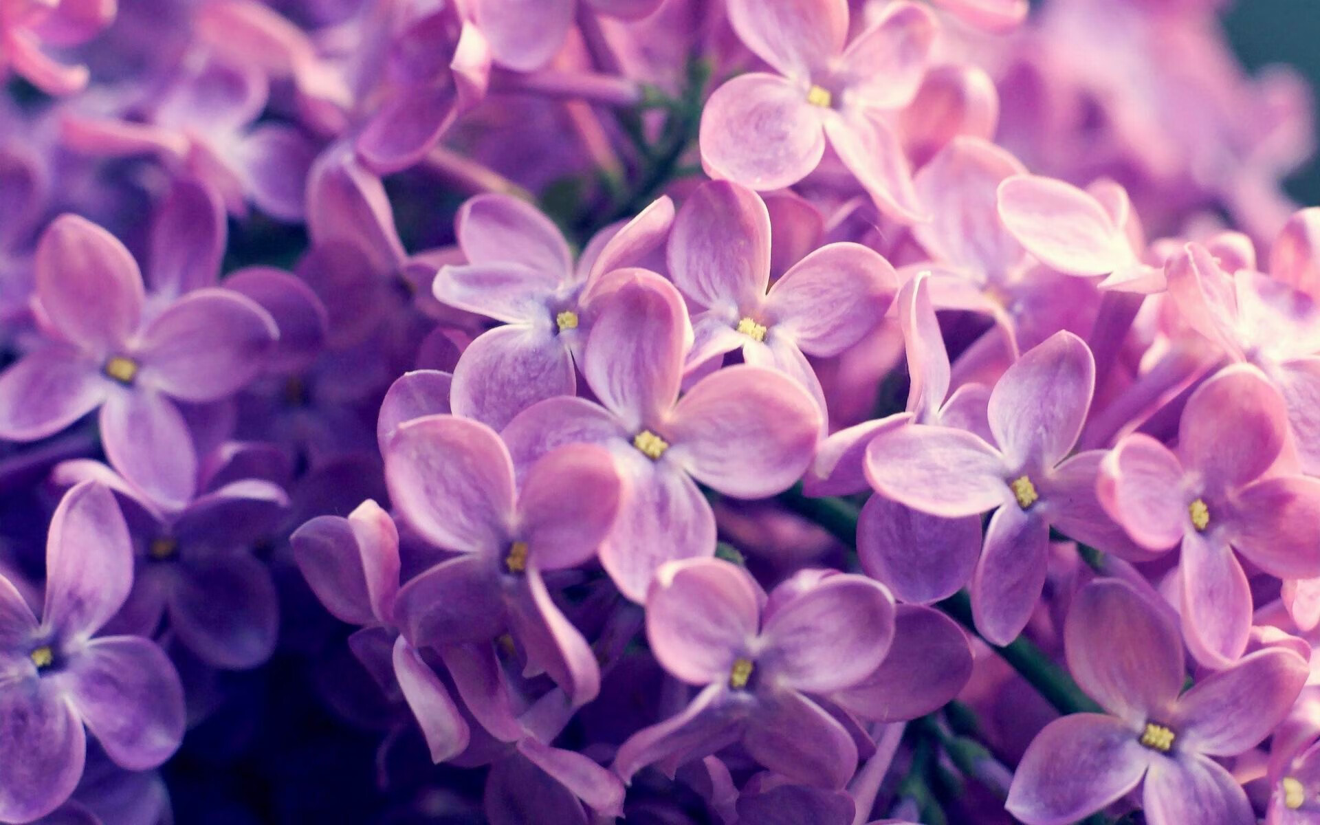 波斯弯刀出鞘，帕尔默利刃破冰，卡塔尔连续重击压制北欧战舰