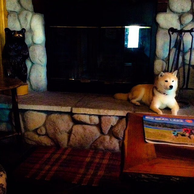 开云体育登录-一个人的战争,当奥利维耶将法国对阵瑞士变为以他命名的战役