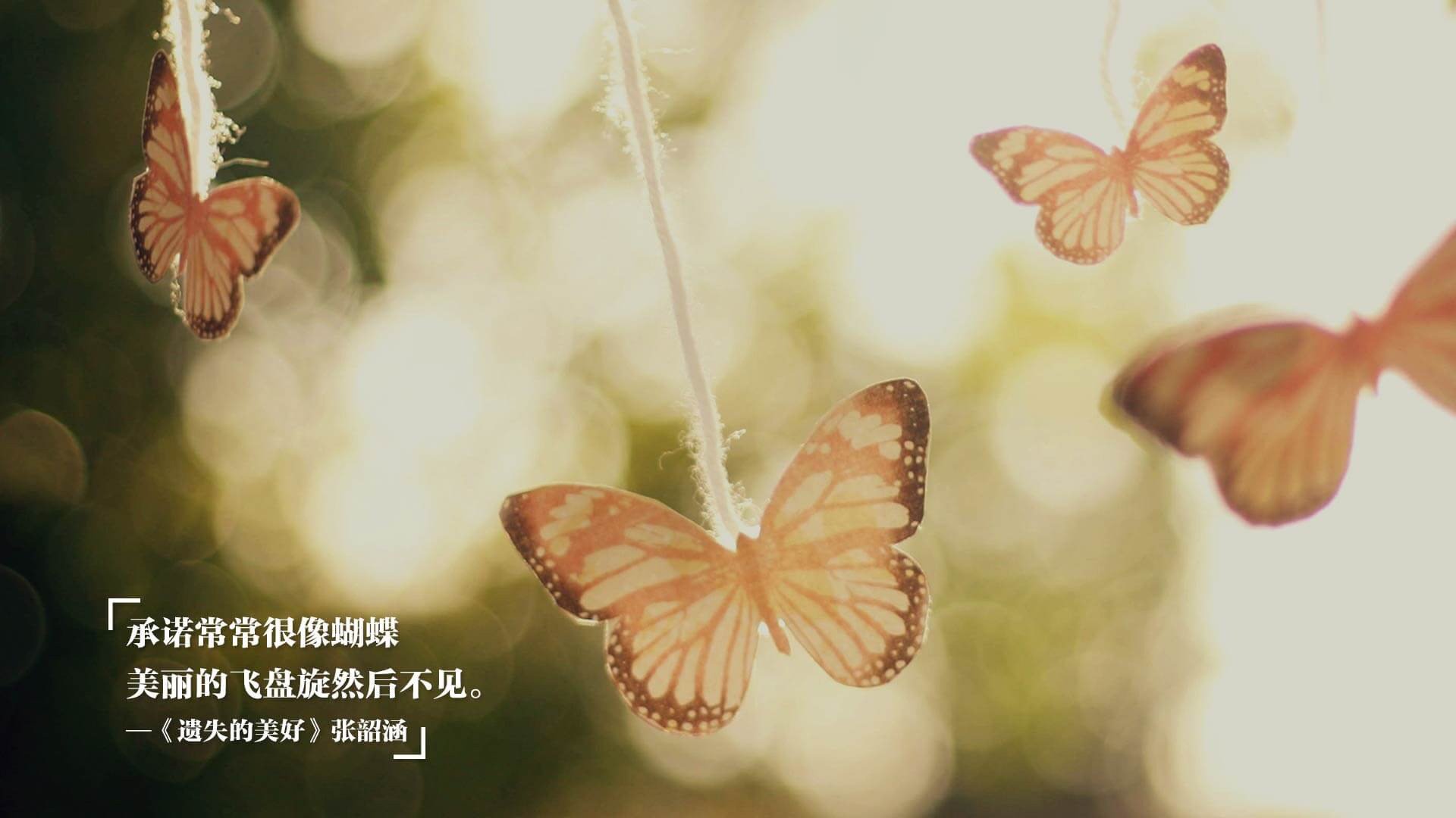 开云APP-沙漠风暴席卷太极虎,无名英雄迪亚斯导演冷夜奇迹