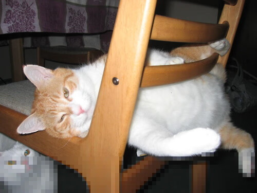 绝境孤胆英雄!阿什拉夫一剑封喉,曼联加时险胜克罗地亚劲旅