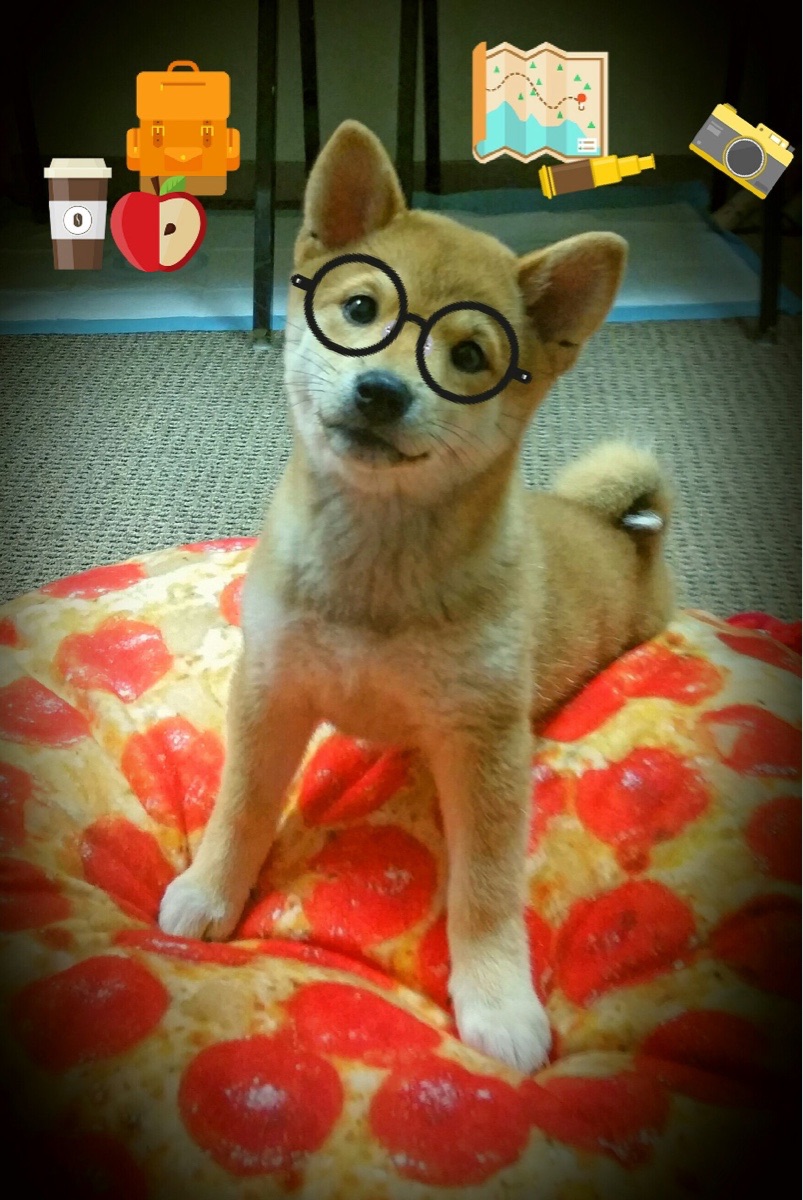 开云体育登录-冰火之战，杰伦格林逆转之夜，爵士逆流熔炼热火