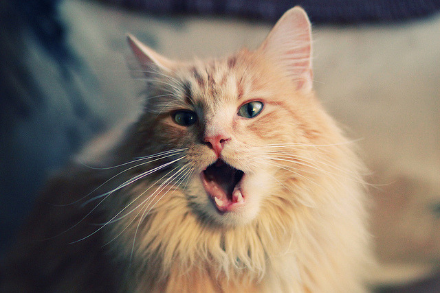 伊萨克关键一击,巴拉圭终结智利不败神话