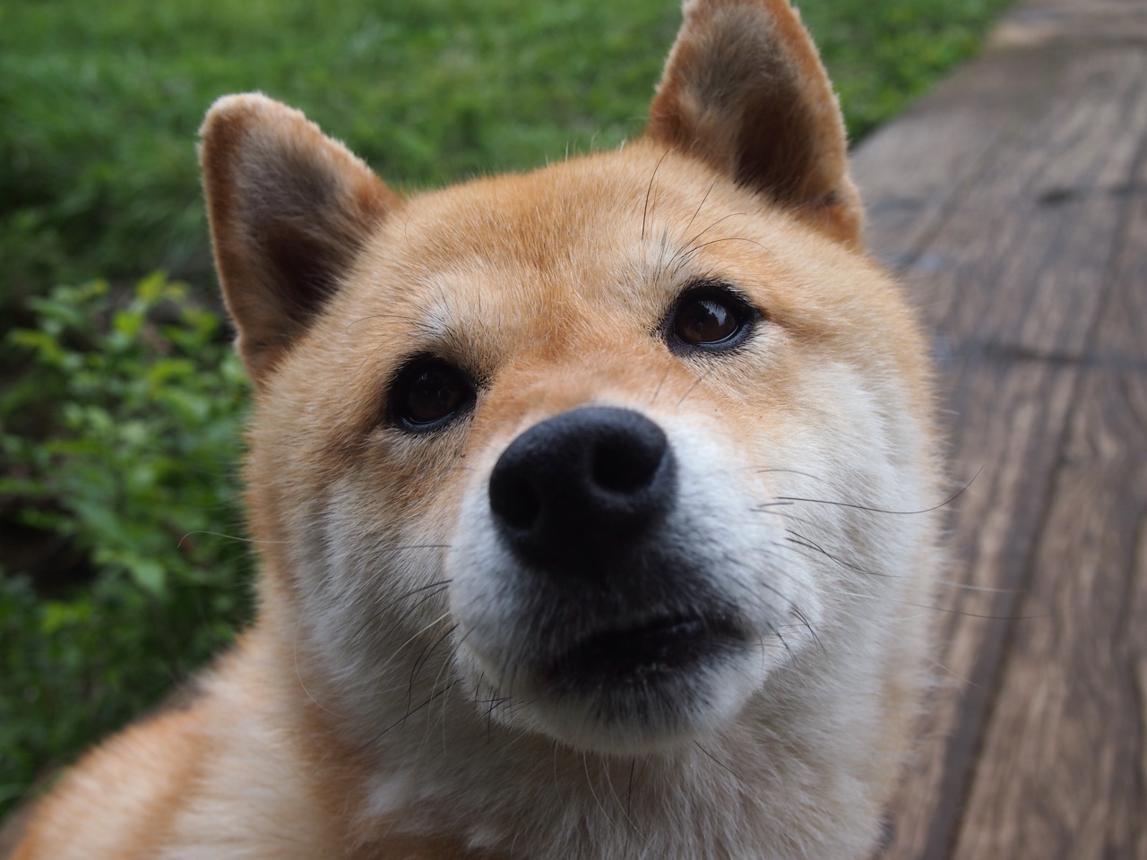 开云体育平台APP-暗夜微光，当世界排名争夺战打响，唯有迪巴拉稳定输出不掉线