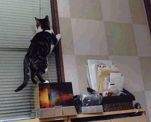 爵士对阵活塞，镁光灯下，欧文上演绝命独舞