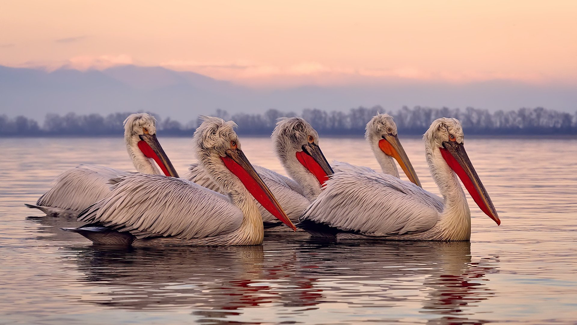 足球与时间,最后一秒的永恒博弈