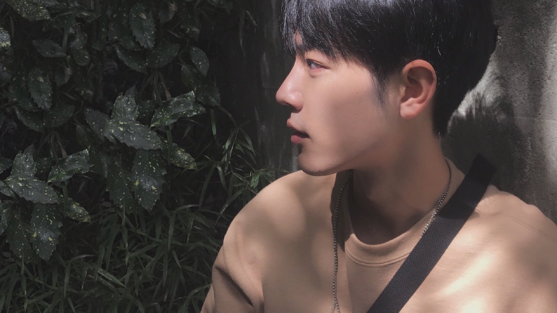 篮球之夜的双重奇迹，浙江队打穿辽宁队与杰伦格林的生涯之夜