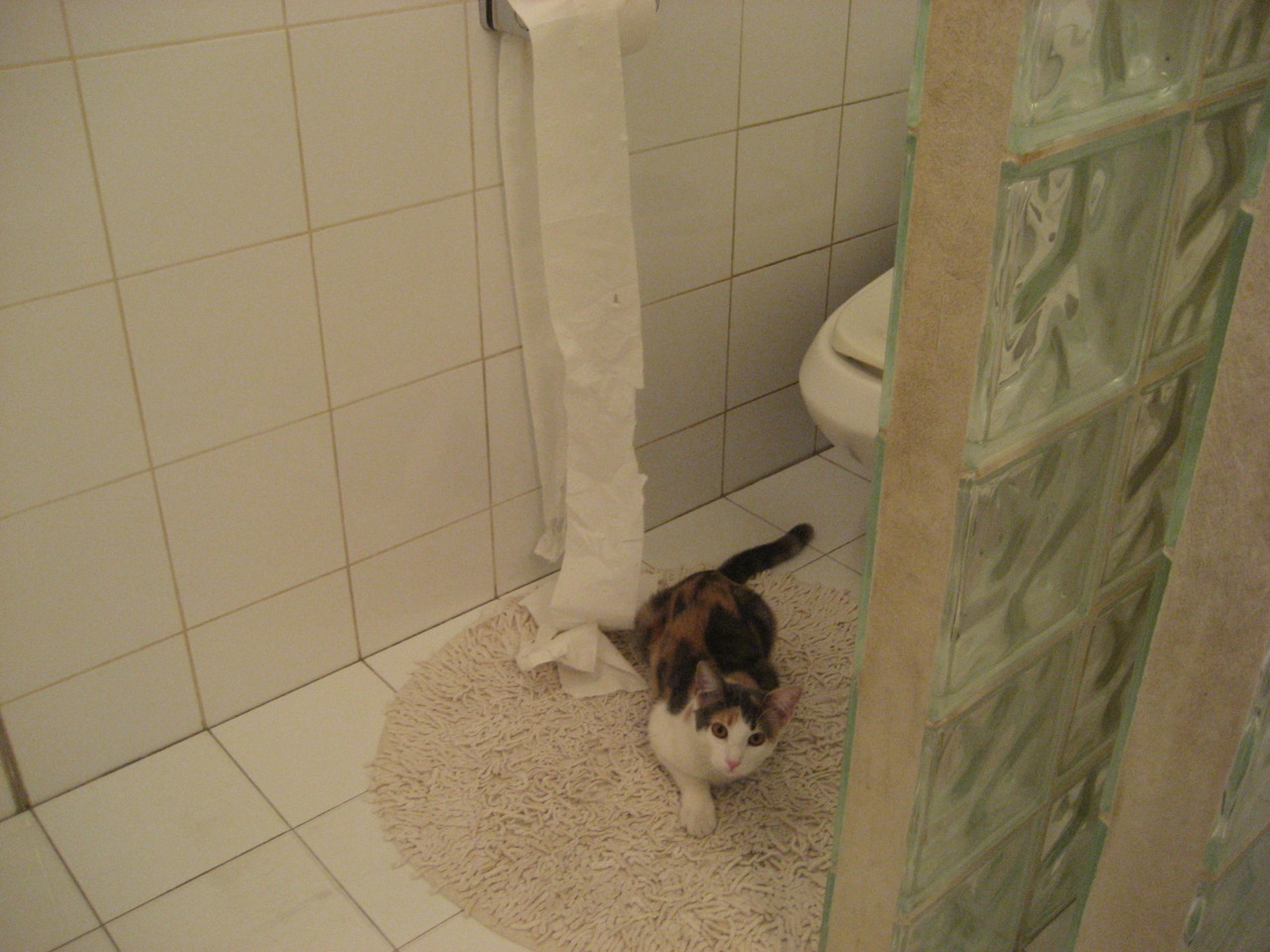 足球场上的指挥官，当若日尼奥的指挥棒对上韩国的快攻闪电，节奏之战如何定胜负？