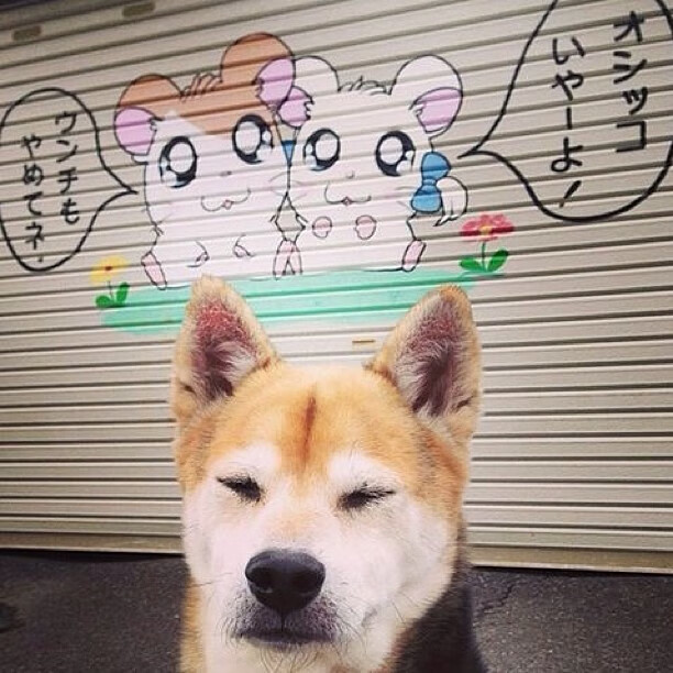 以下是为您撰写的文章标题及内容