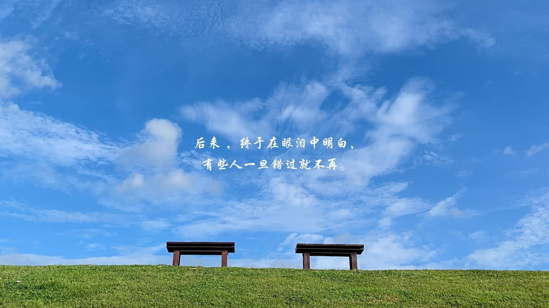 沙漠之盾与北欧之矛，2026世界杯B组，哈兰德如何用战术唯一性击穿阿联酋防线