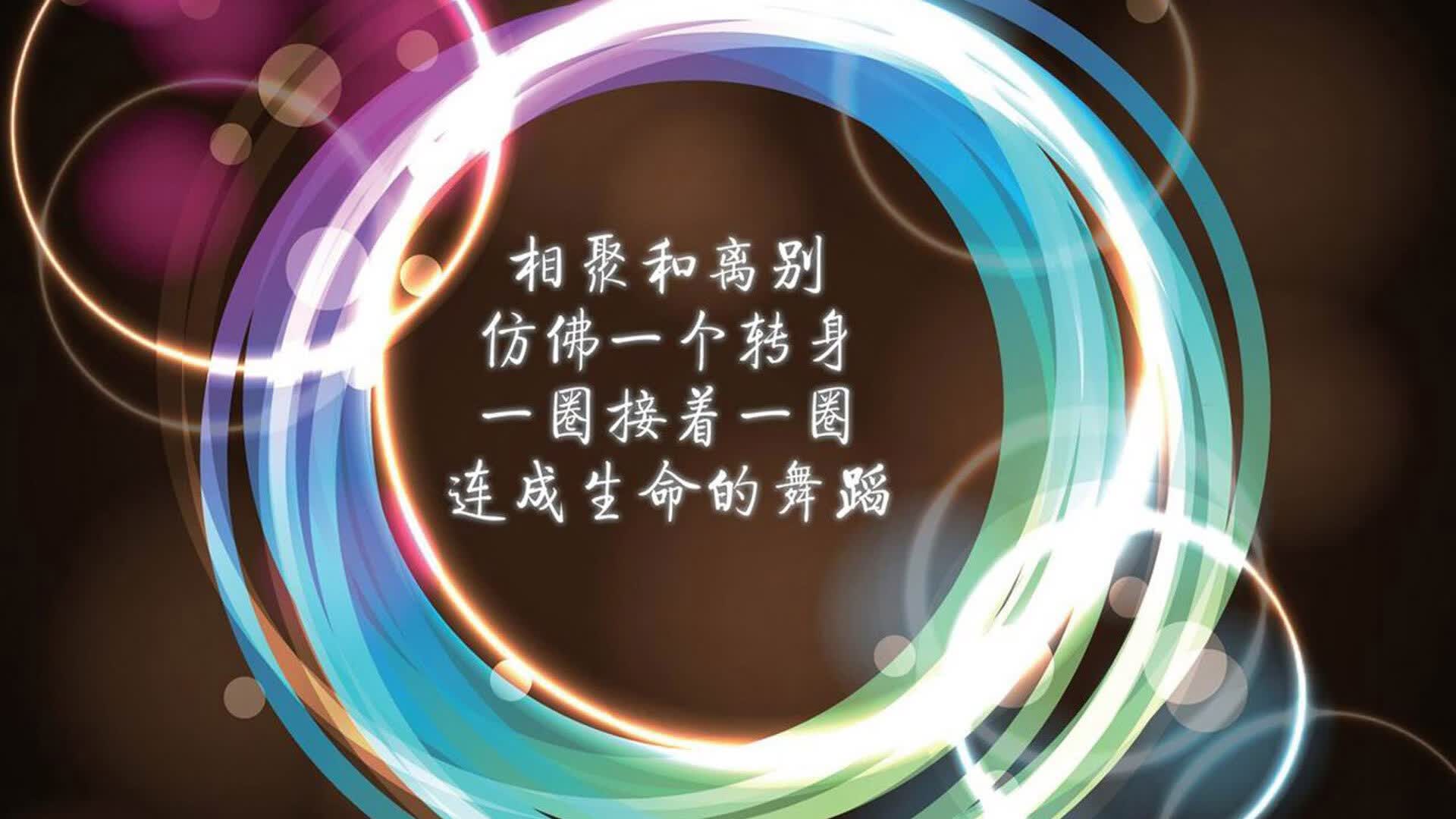 极速狂飙，比利时红色风暴无情碾压冰岛，维尼修斯独舞世界杯争冠战