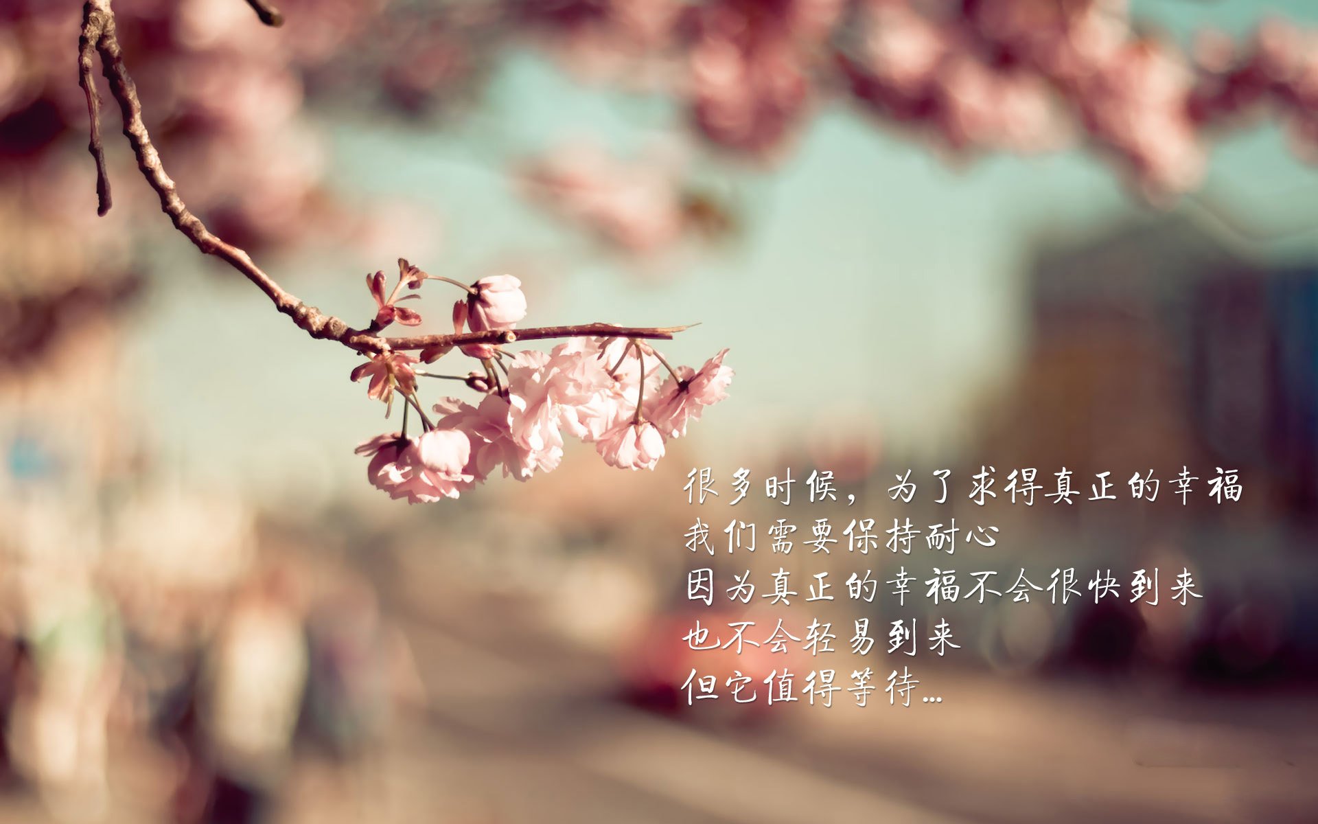 布加勒斯特之夜,罗马尼亚风暴席卷C组,卢卡库与门神共铸2026世界杯传奇