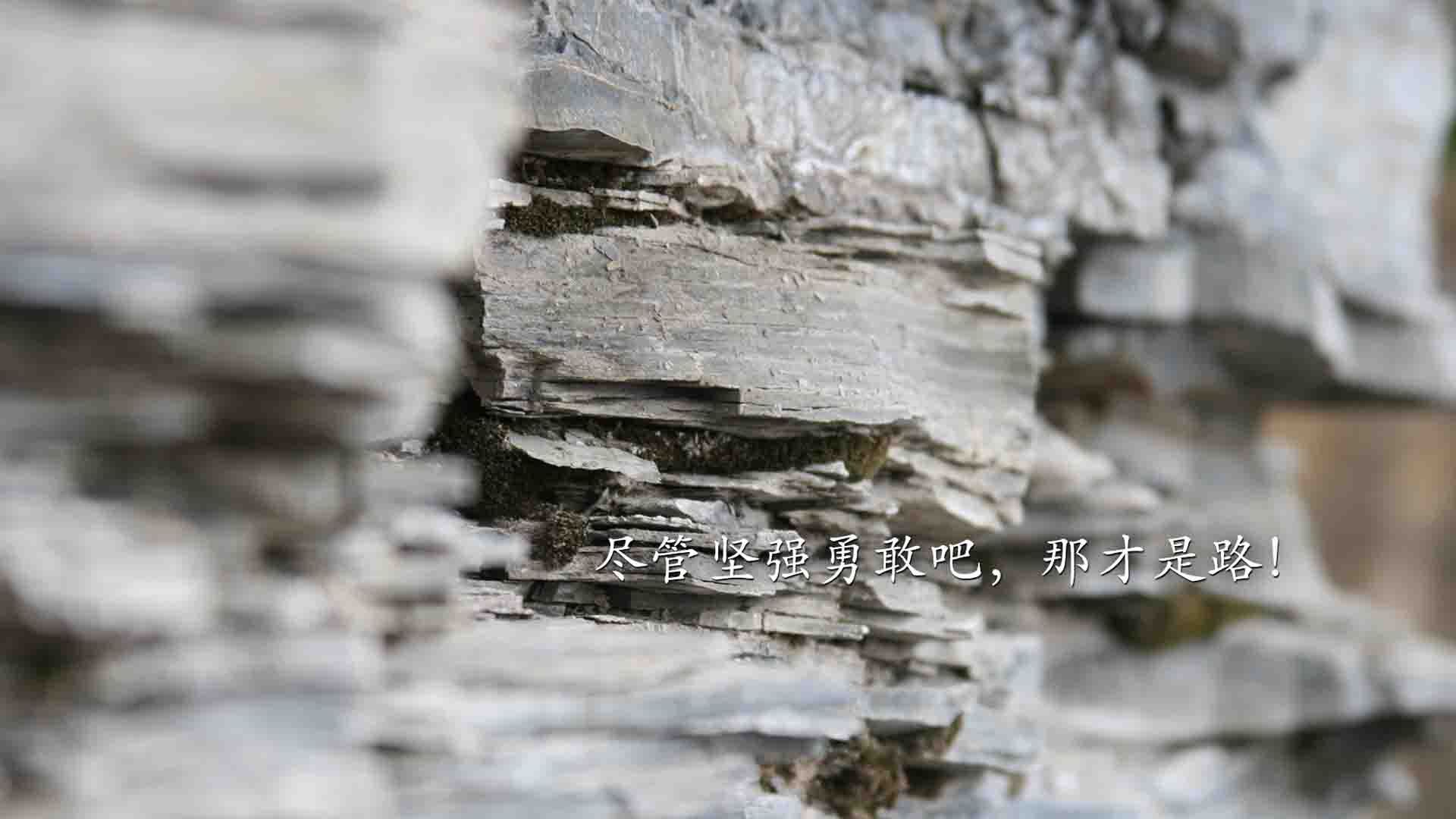 极北之光，2026世界杯黑马之战，挪威如何用冰雪智慧压制枫叶军团，巴雷拉一战封神