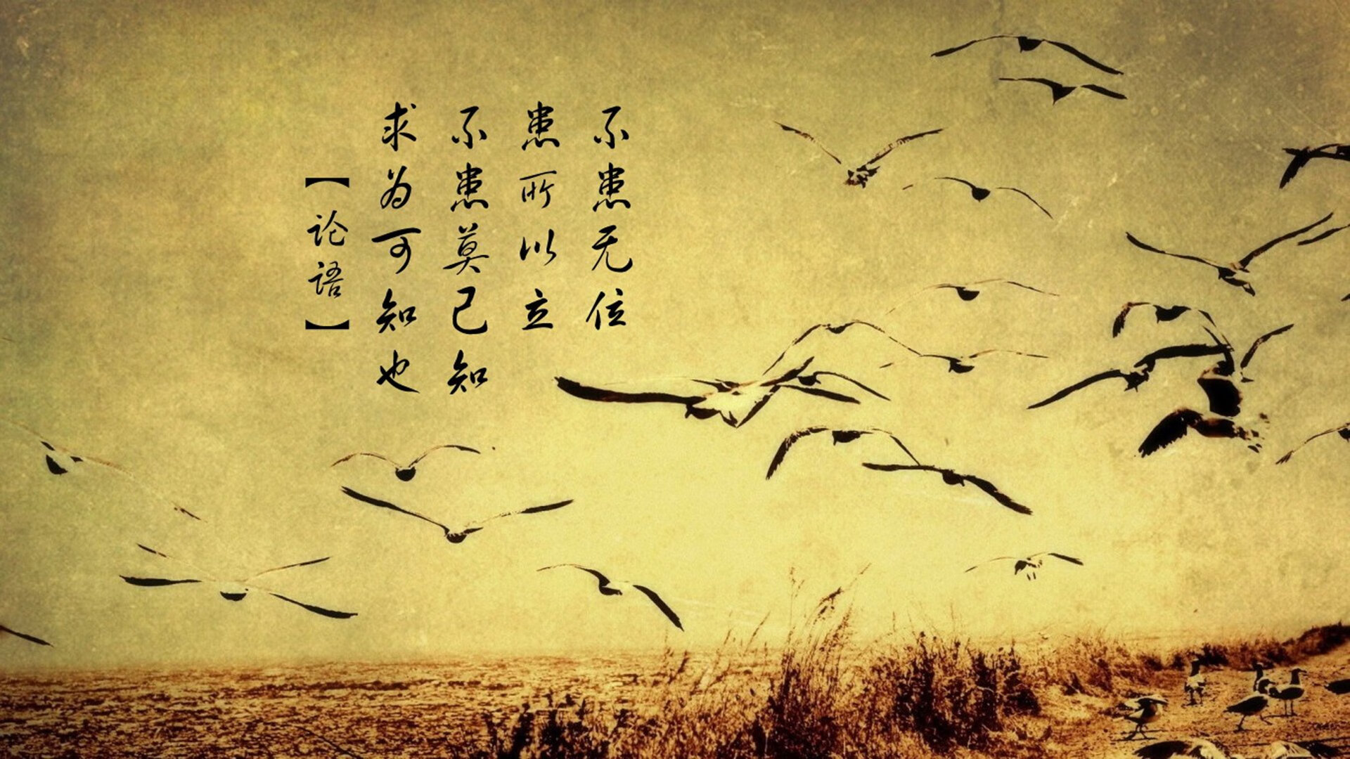 开云官网-绝杀与救赎，2026世界杯H组生死战，匈牙利力克韩国，苏亚雷斯演绎不老传说
